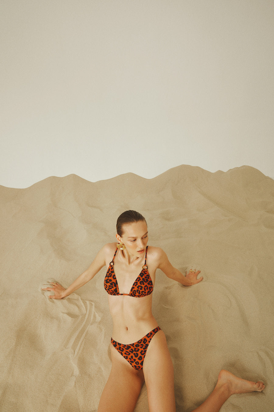 Celine Cinnamon Leopard Bikini