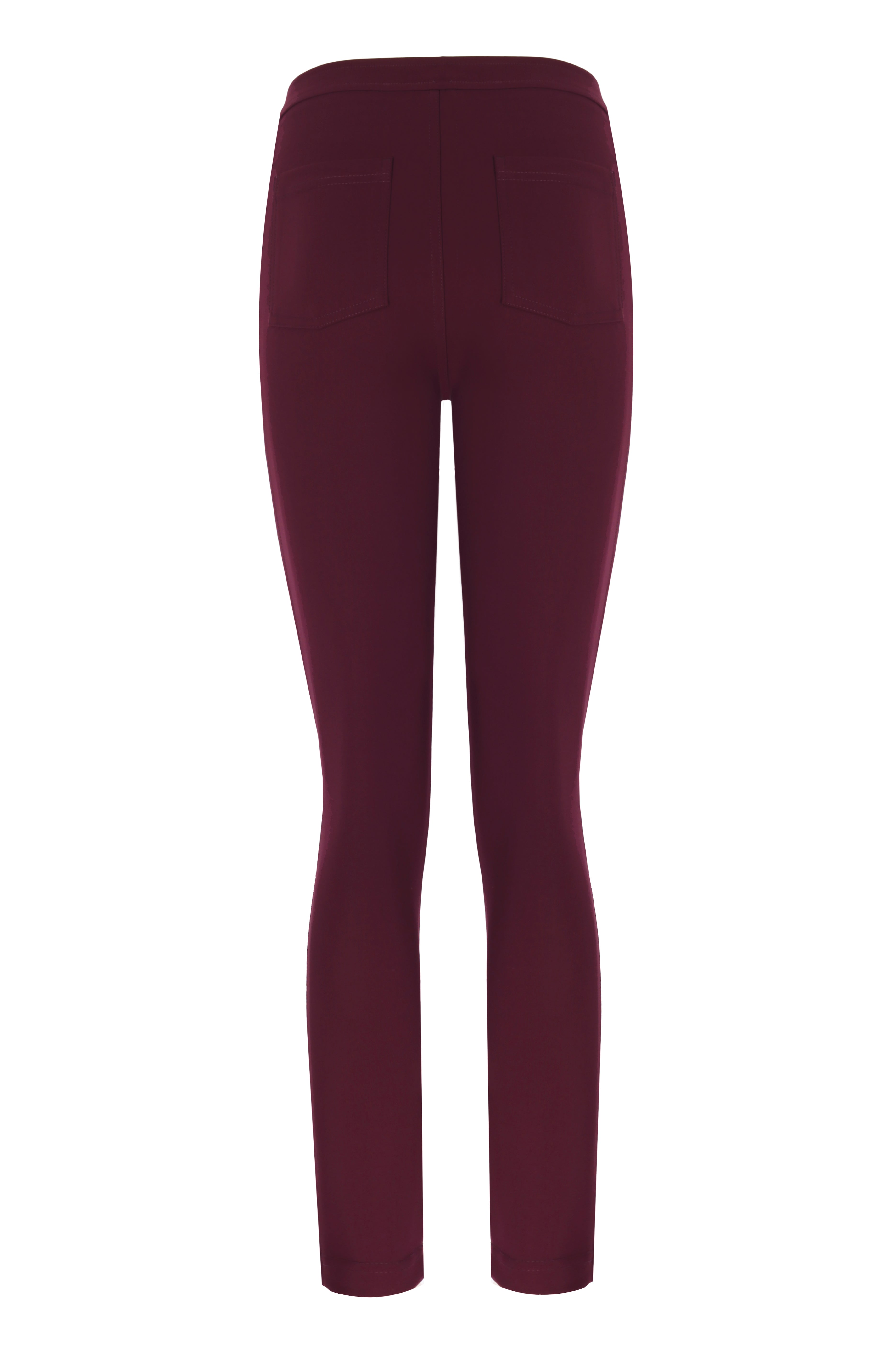 Sculpteur Fabric / Burgundy Matt Pants