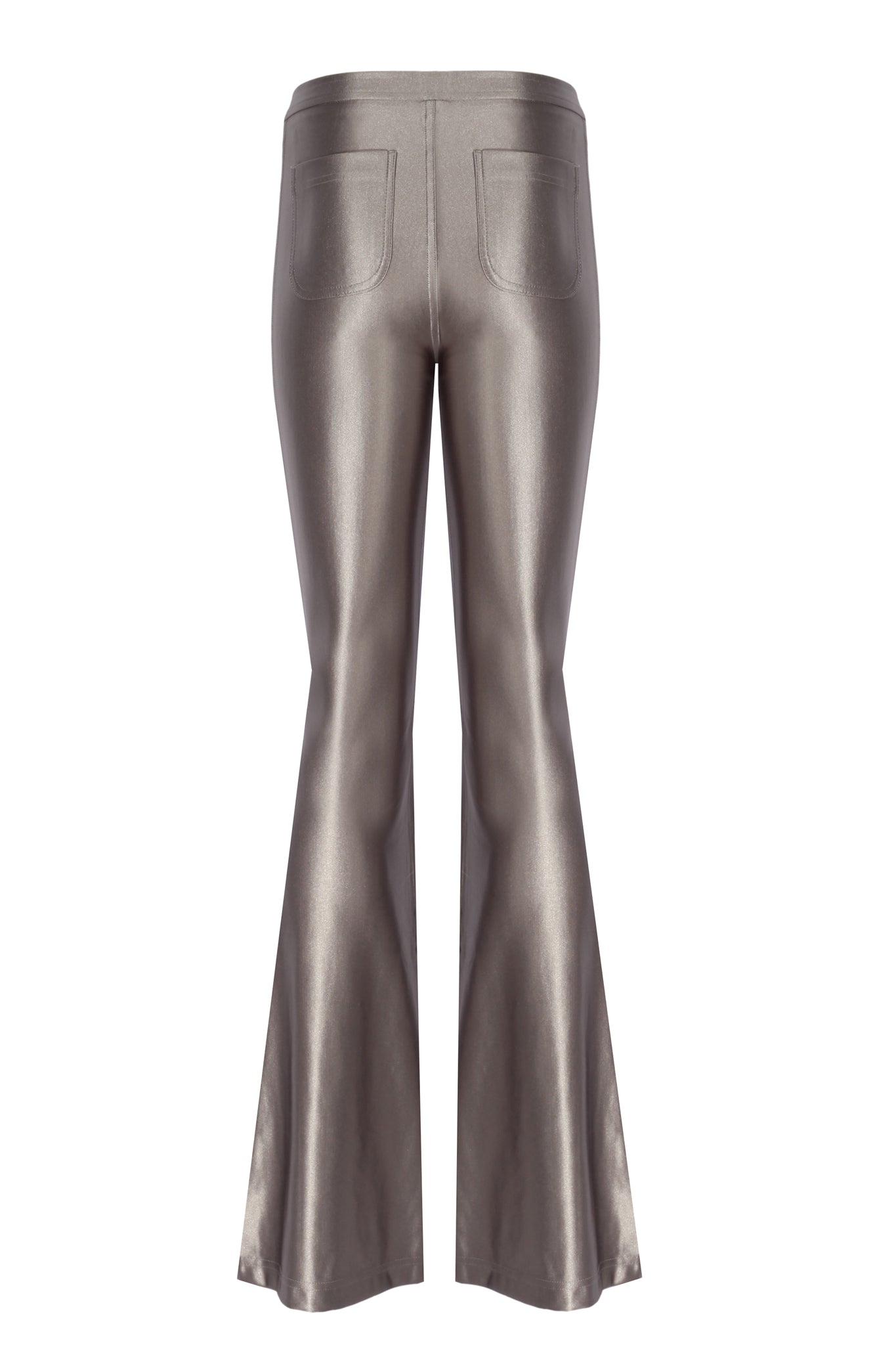Sophie Silver Shiny Flared Pants